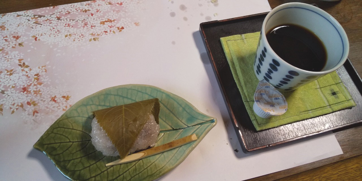 f:id:Paradisia:20190328191741j:plain