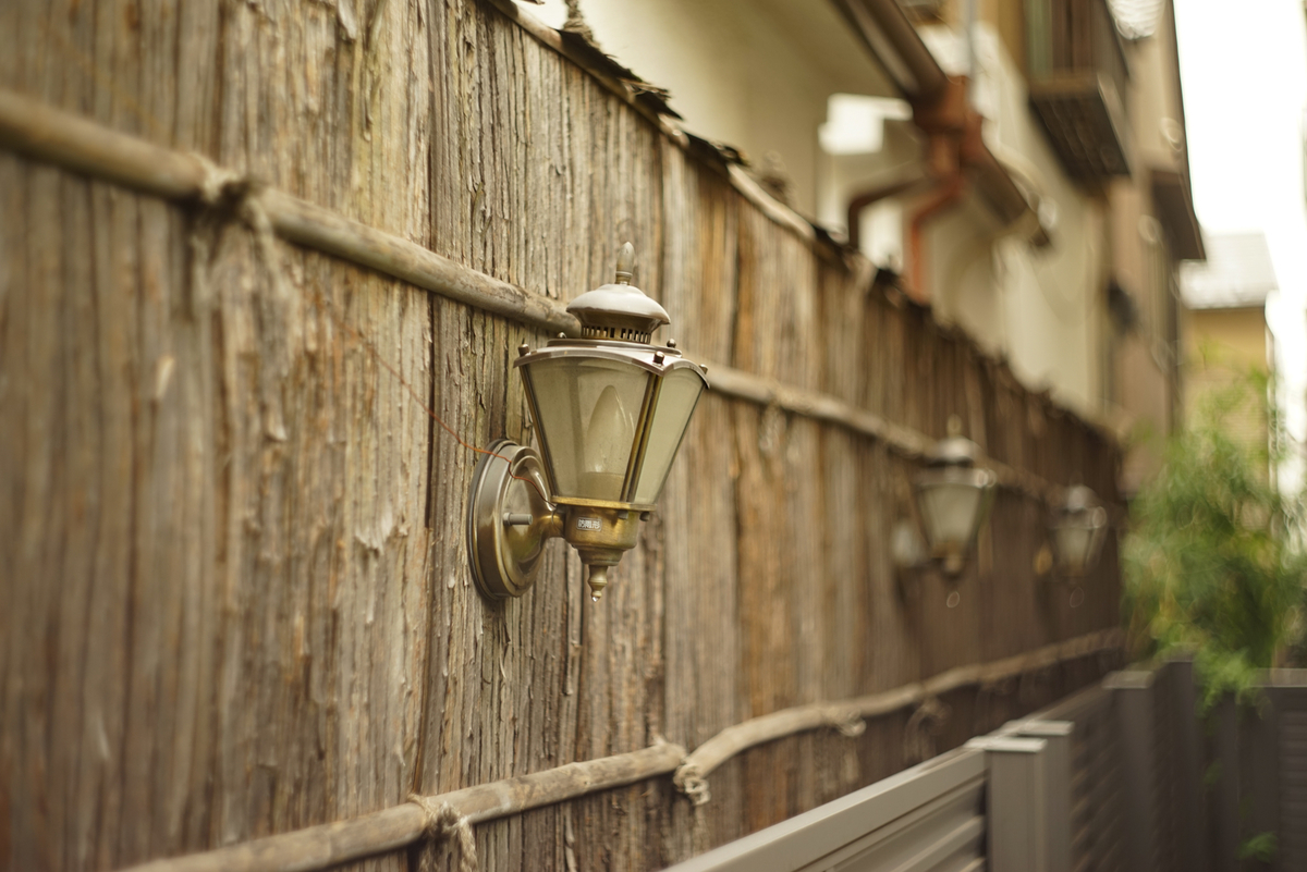 f:id:Paradisia:20190329122010j:plain f:id:Paradisia:20190329122010j:plain