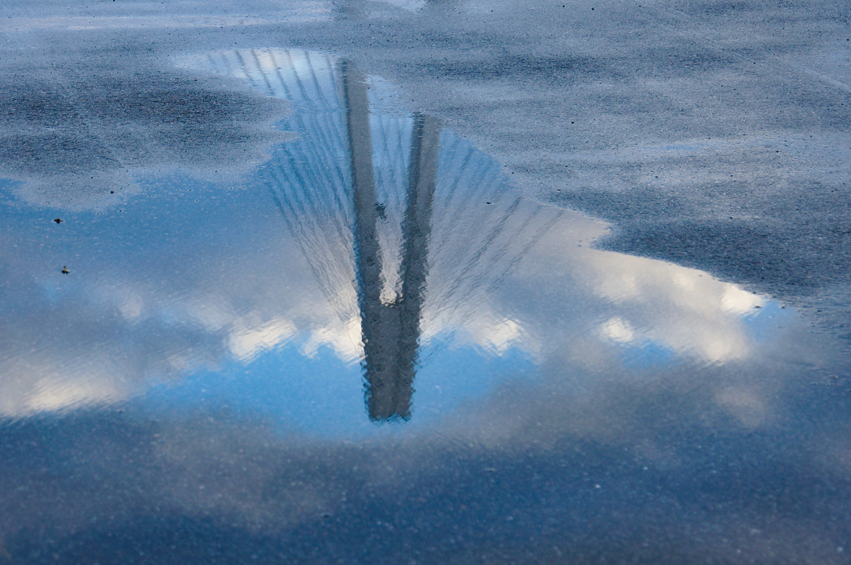 f:id:Paradisia:20190329123722j:plain f:id:Paradisia:20190329123722j:plain