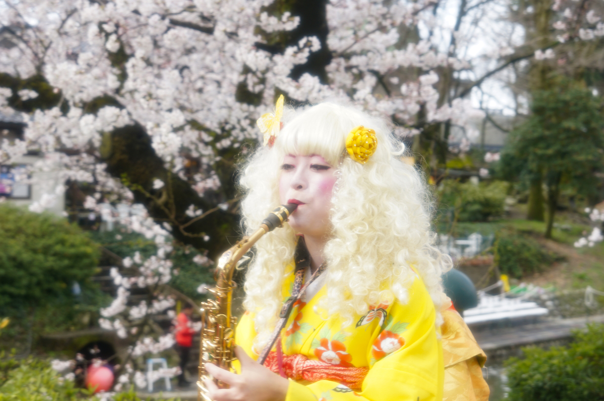 f:id:Paradisia:20190331151341j:plain