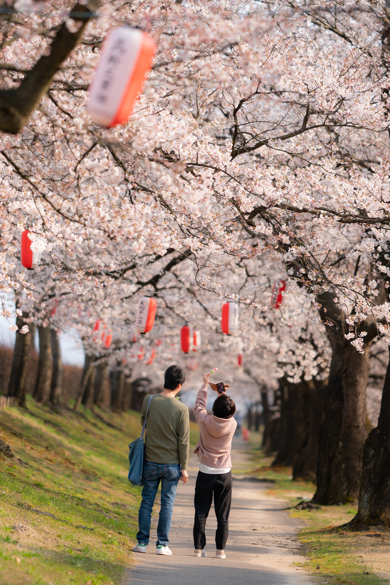 f:id:Paradisia:20190405185619j:plain