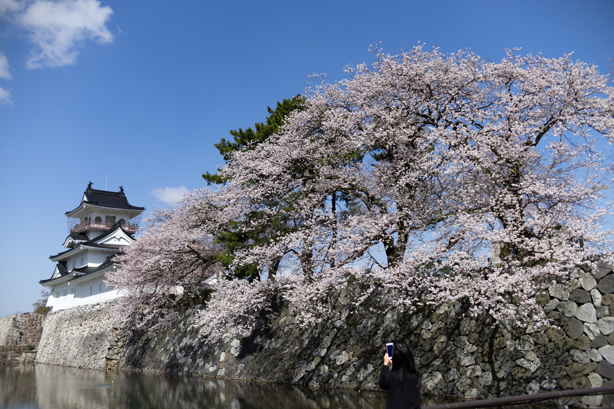 f:id:Paradisia:20190406205645j:plain