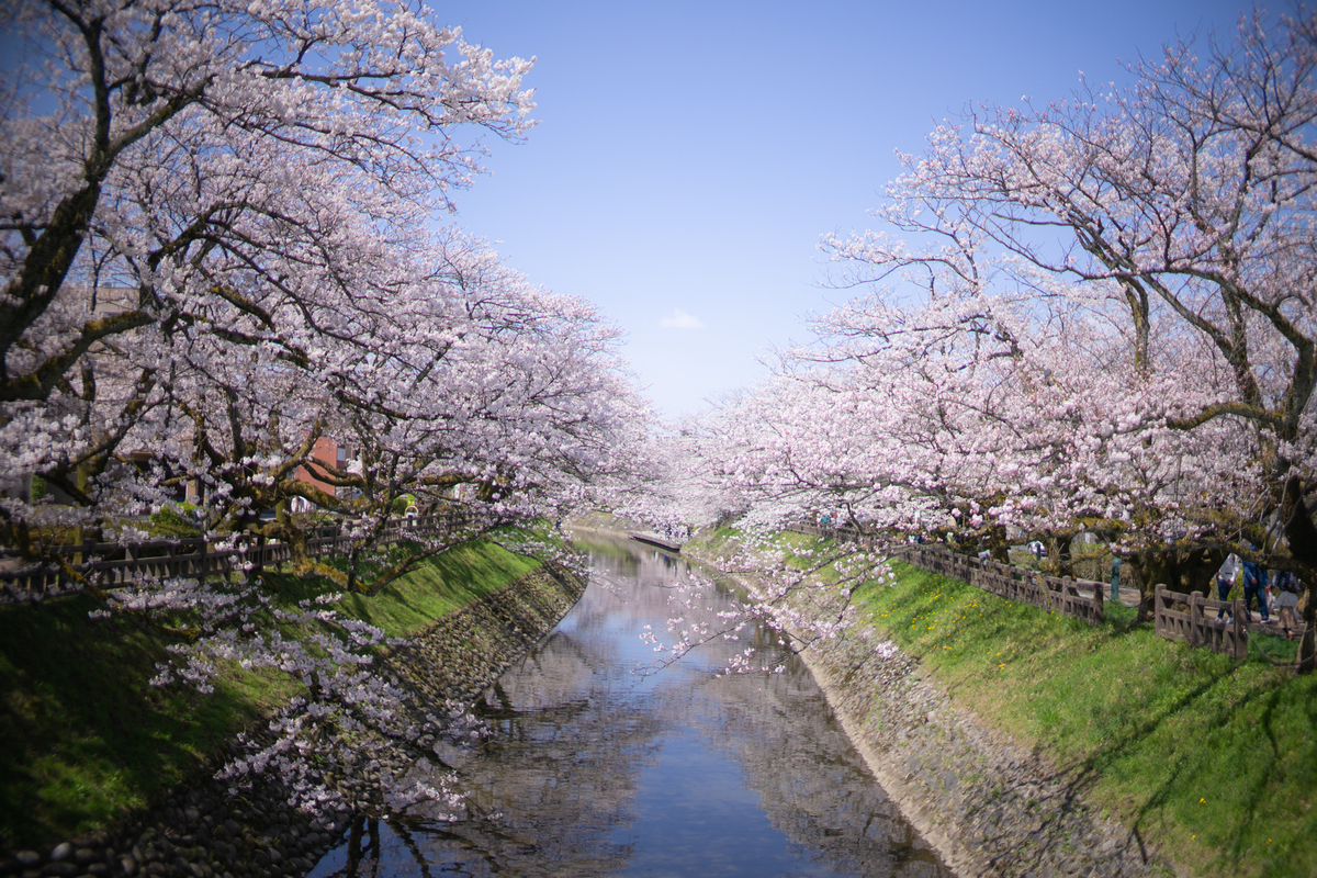 f:id:Paradisia:20190407070940j:plain