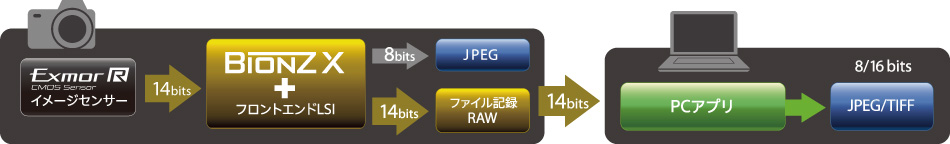 f:id:Paradisia:20190411081303j:plain f:id:Paradisia:20190411081303j:plain