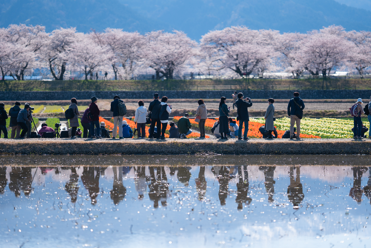 f:id:Paradisia:20190413183521j:plain