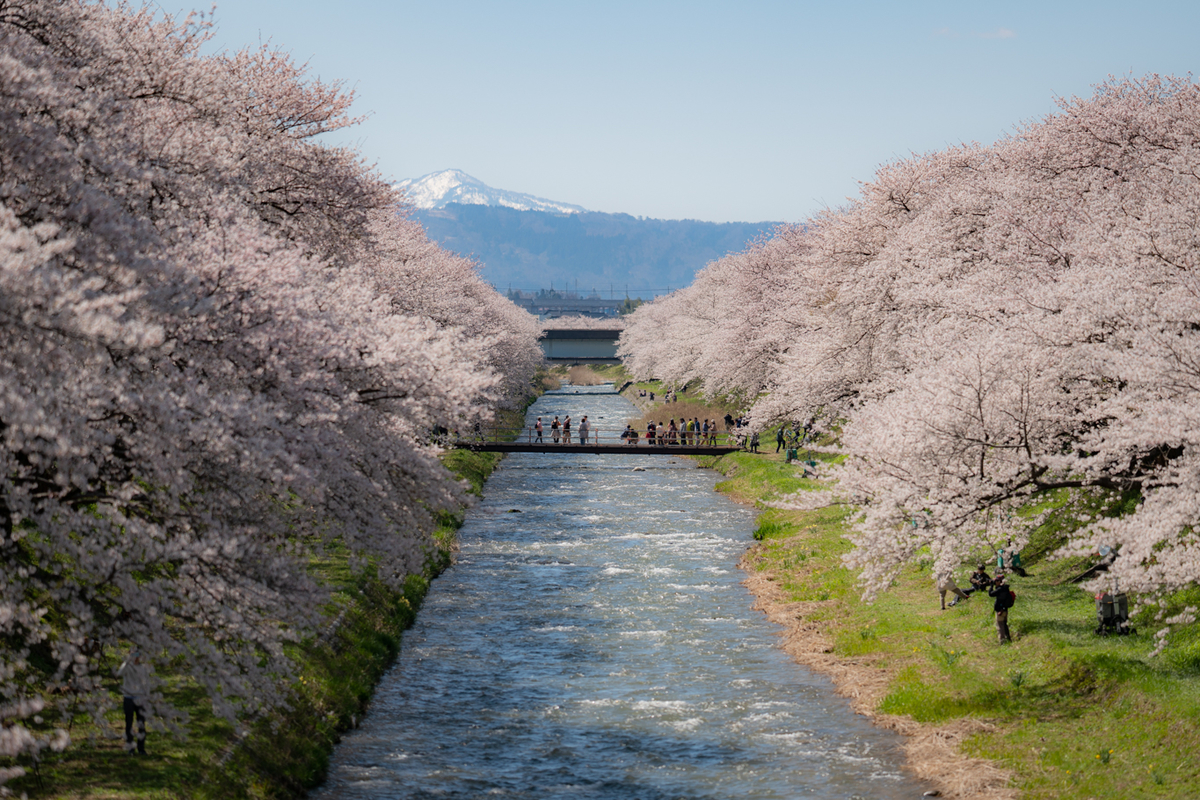 f:id:Paradisia:20190413195103j:plain f:id:Paradisia:20190413195103j:plain