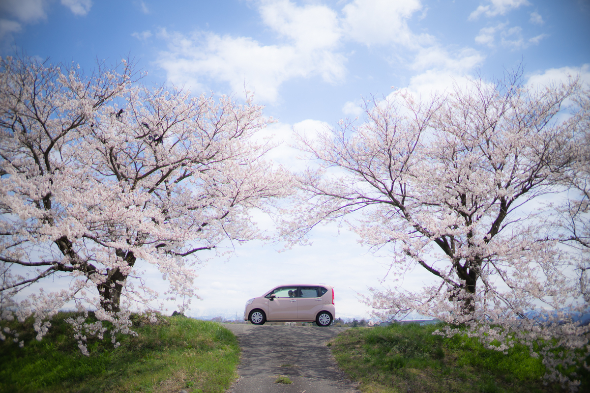 f:id:Paradisia:20190415075954j:plain