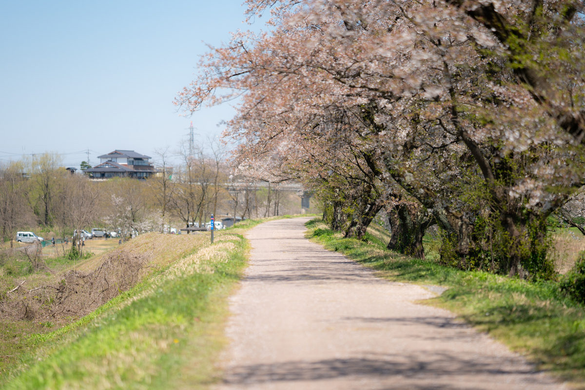f:id:Paradisia:20190416150515j:plain