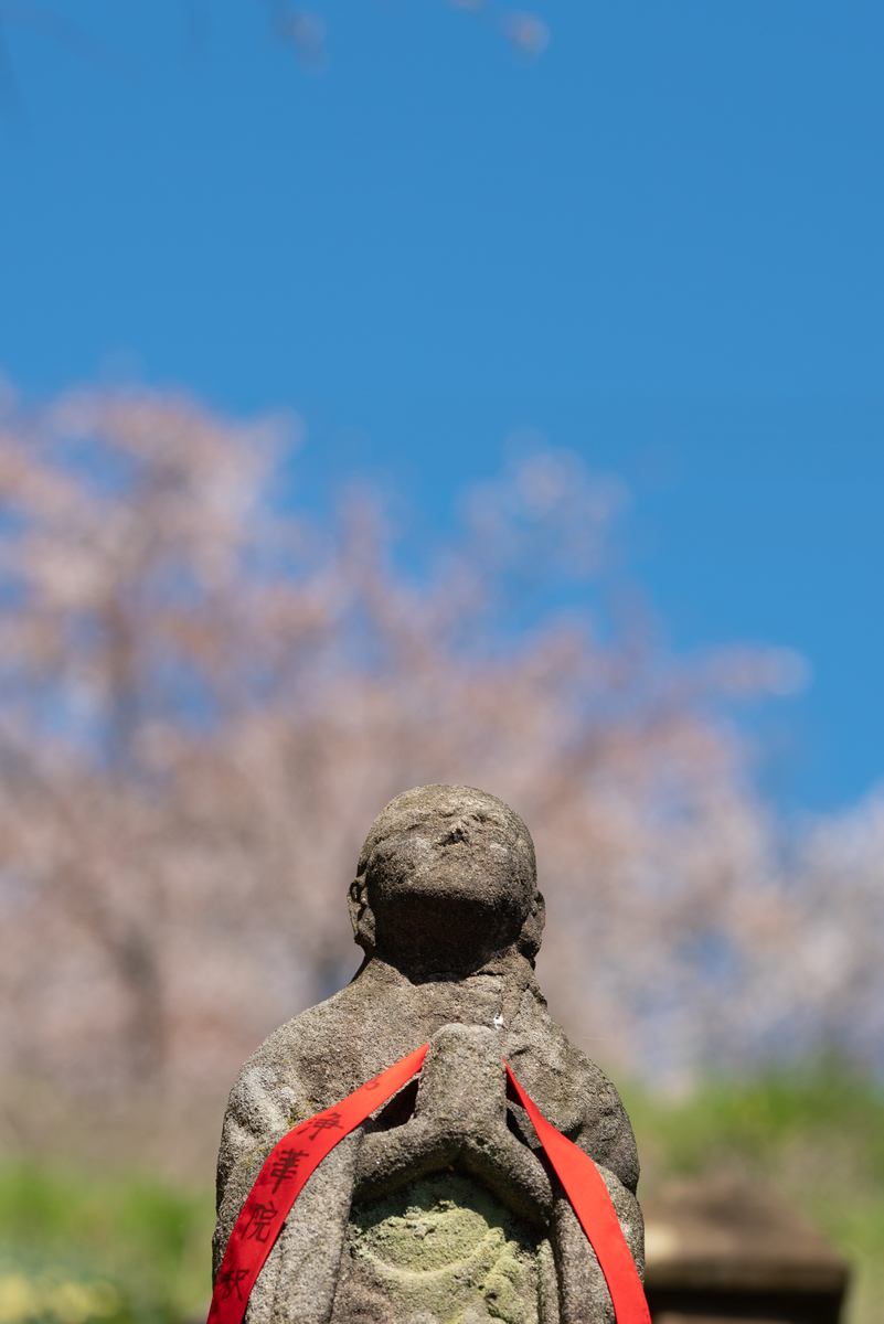 f:id:Paradisia:20190416164652j:plain f:id:Paradisia:20190416164652j:plain