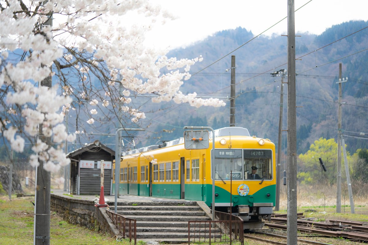 f:id:Paradisia:20190417125501j:plain