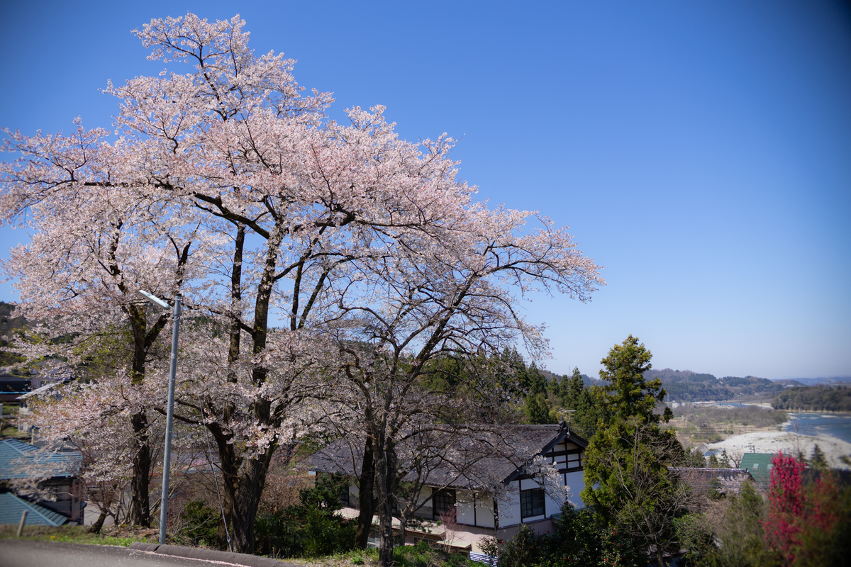 f:id:Paradisia:20190417133952j:plain