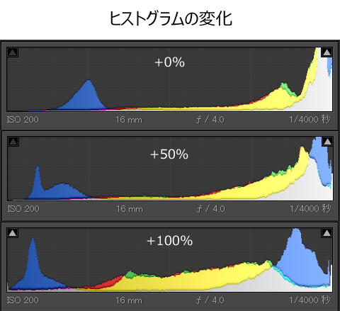 f:id:Paradisia:20190428191447j:plain