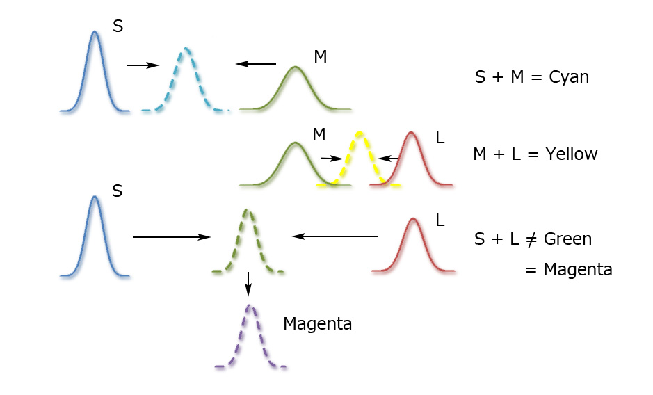 f:id:Paradisia:20190512144000j:plain