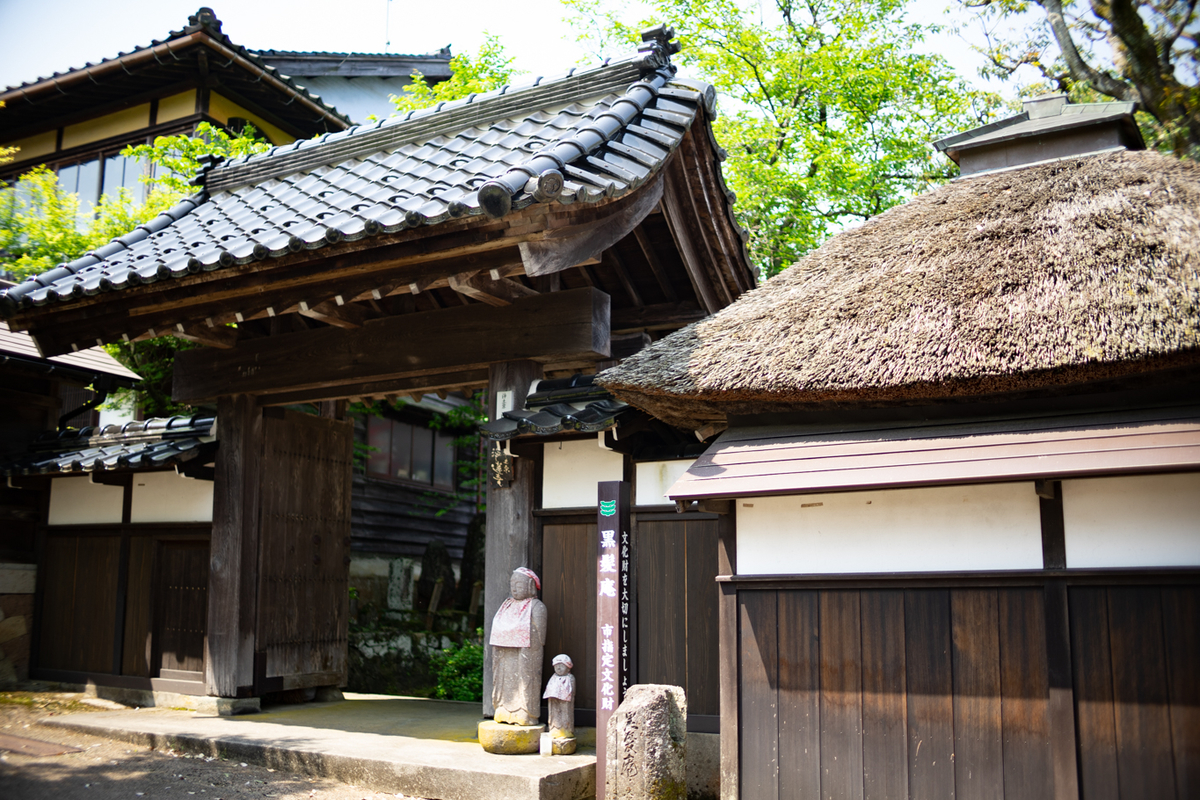 f:id:Paradisia:20190512174511j:plain f:id:Paradisia:20190512174511j:plain