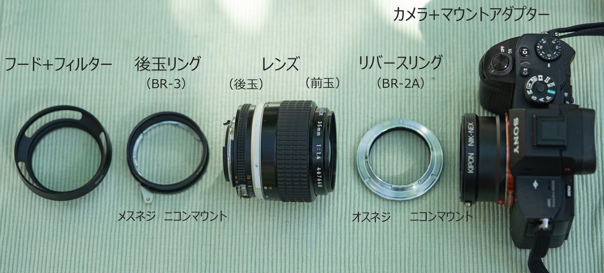 リバースで超マクロ撮影：レンズの基礎（5） - レンズを絵筆に、光を絵具に