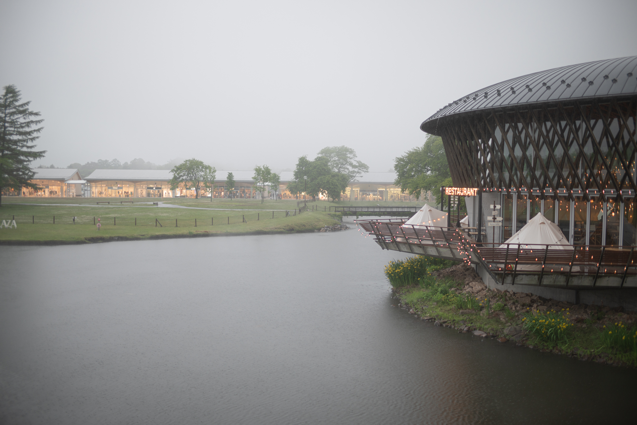 f:id:Paradisia:20190610165723j:plain f:id:Paradisia:20190610165723j:plain