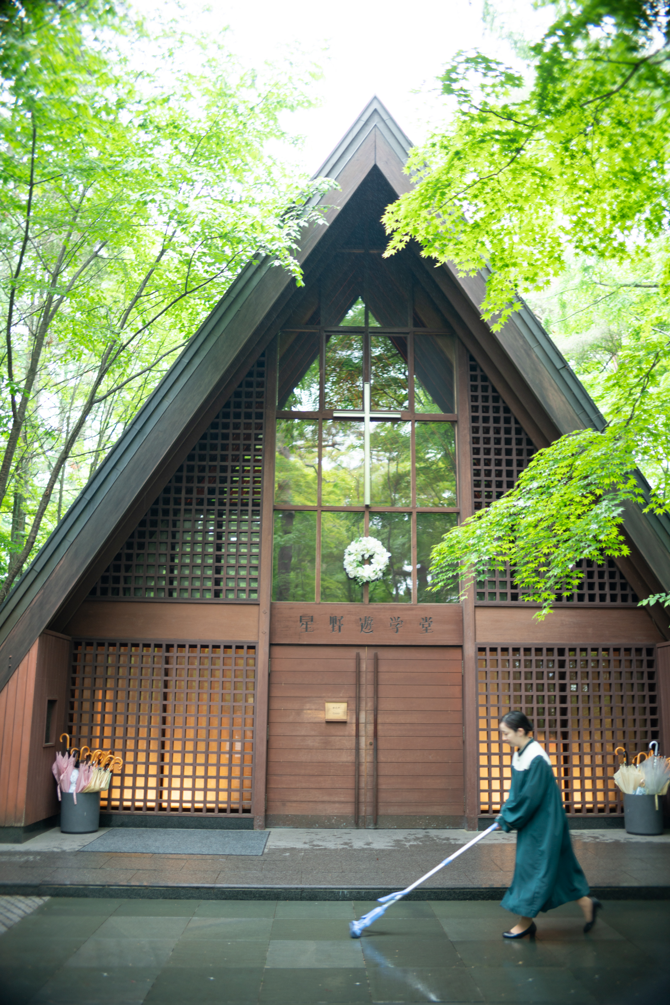 f:id:Paradisia:20190610165815j:plain f:id:Paradisia:20190610165815j:plain