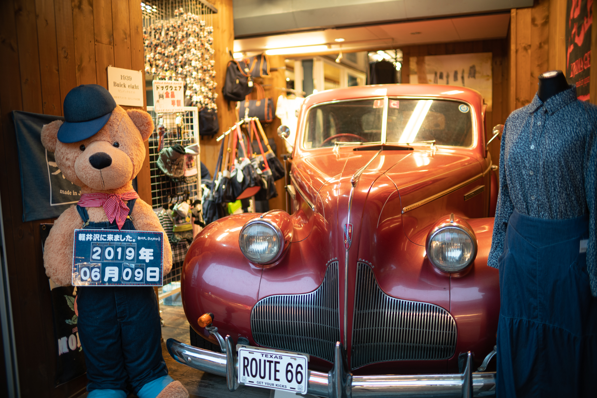 f:id:Paradisia:20190610165846j:plain f:id:Paradisia:20190610165846j:plain