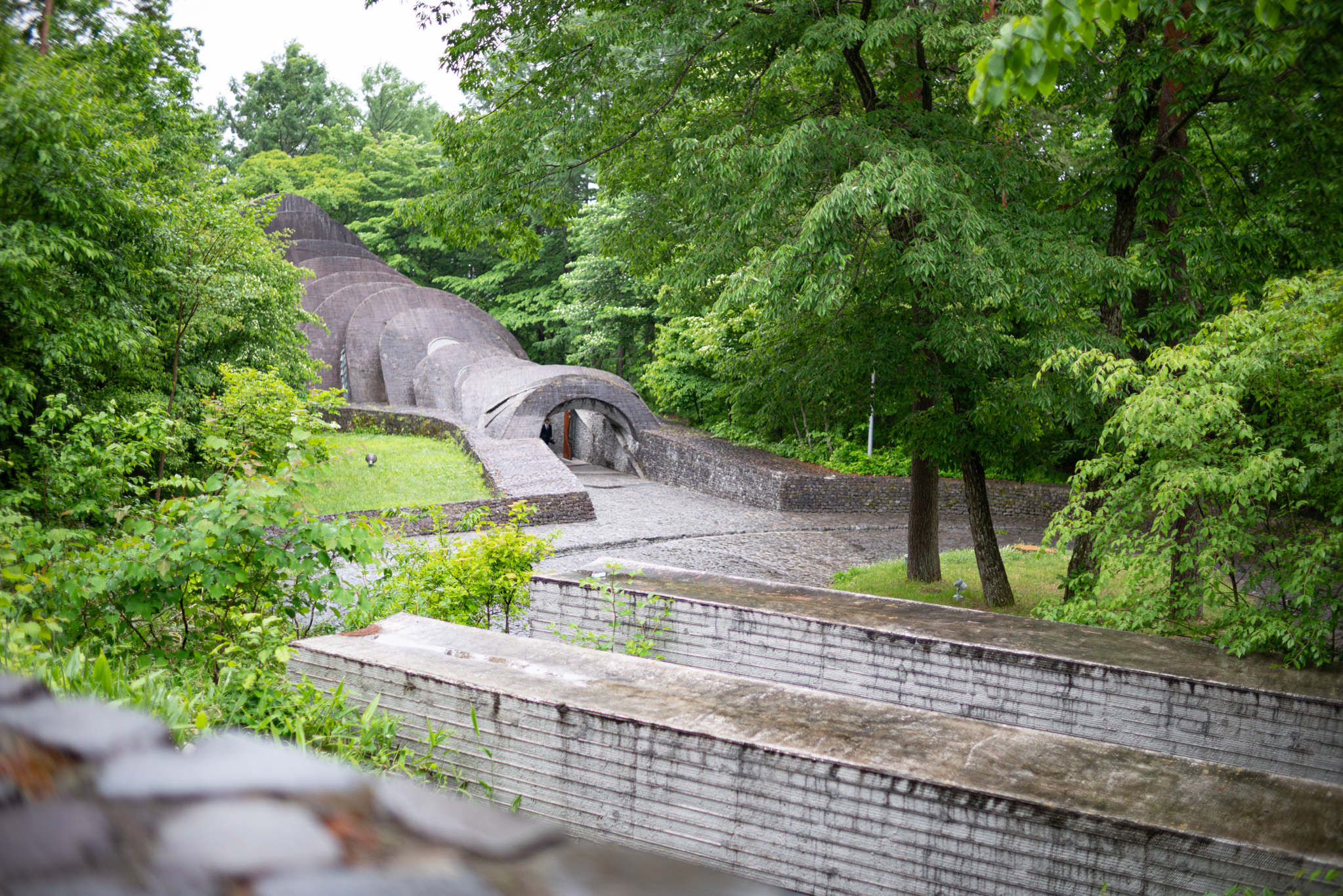 f:id:Paradisia:20190611101822j:plain f:id:Paradisia:20190611101822j:plain