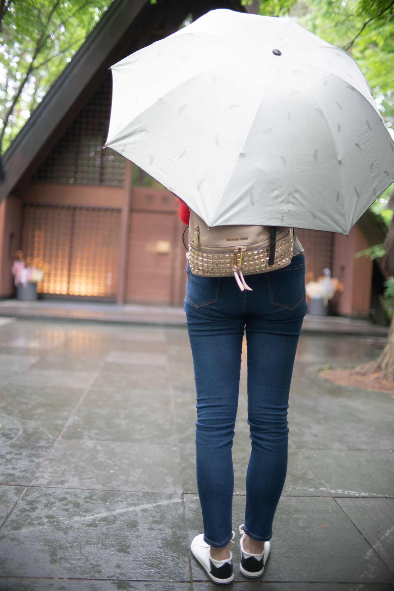 f:id:Paradisia:20190611102113j:plain f:id:Paradisia:20190611102113j:plain