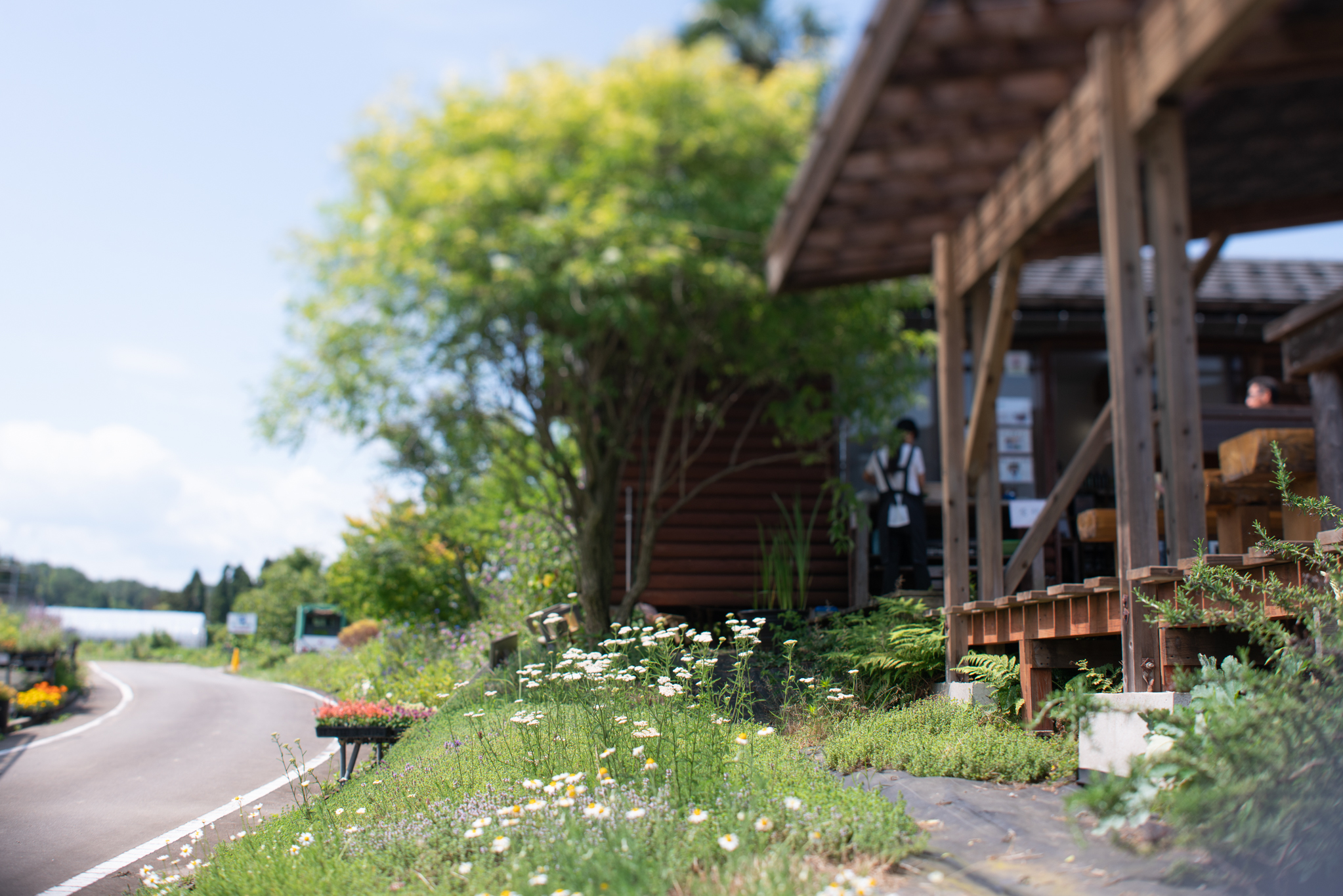 f:id:Paradisia:20190618143253j:plain f:id:Paradisia:20190618143253j:plain