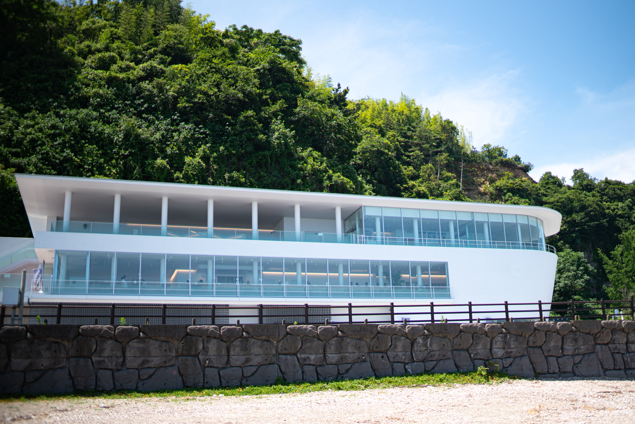 f:id:Paradisia:20190626193240j:plain