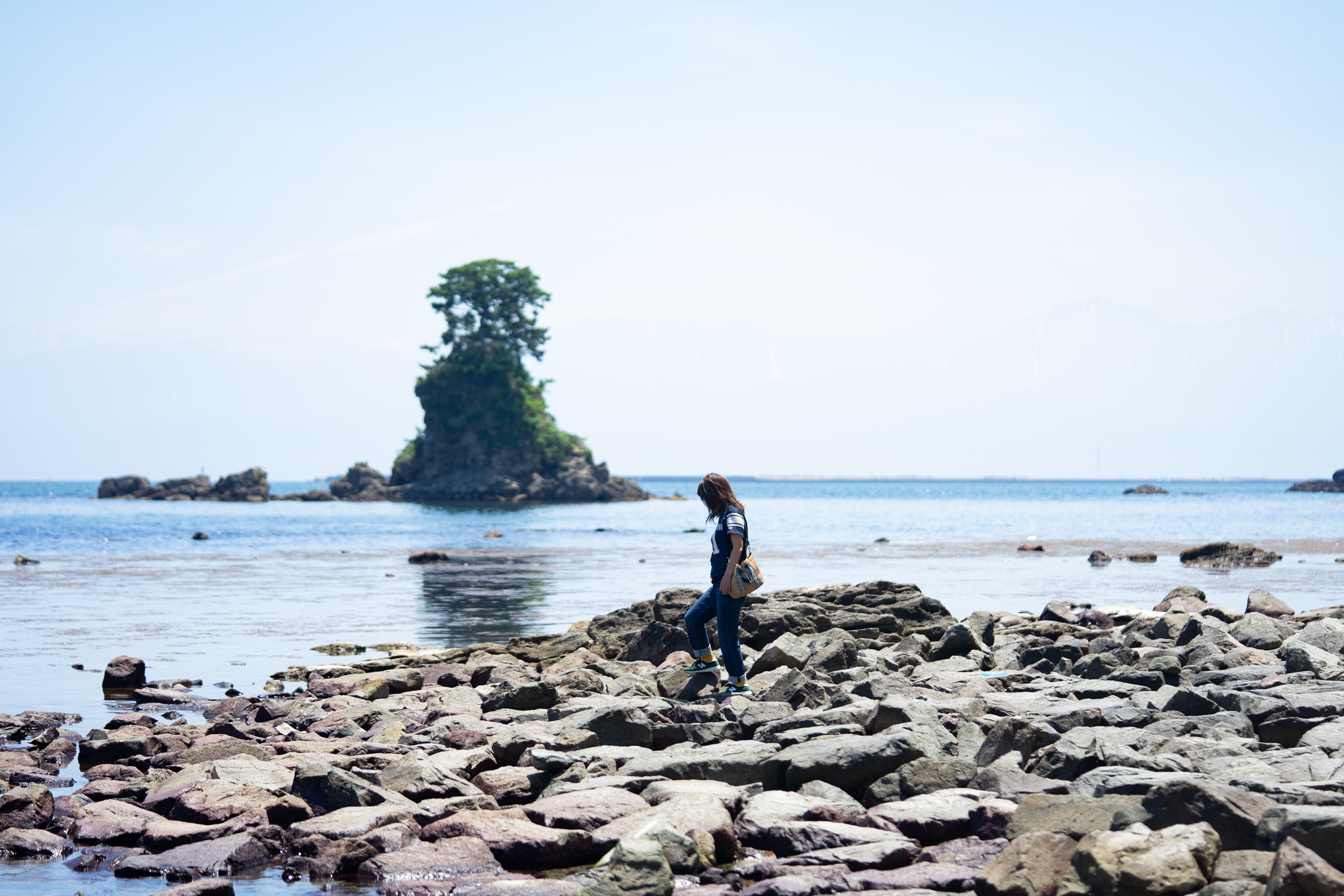 f:id:Paradisia:20190626194124j:plain