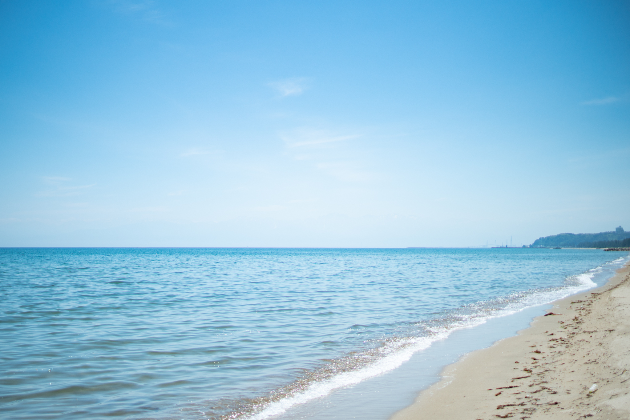 f:id:Paradisia:20190627183104j:plain f:id:Paradisia:20190627183104j:plain