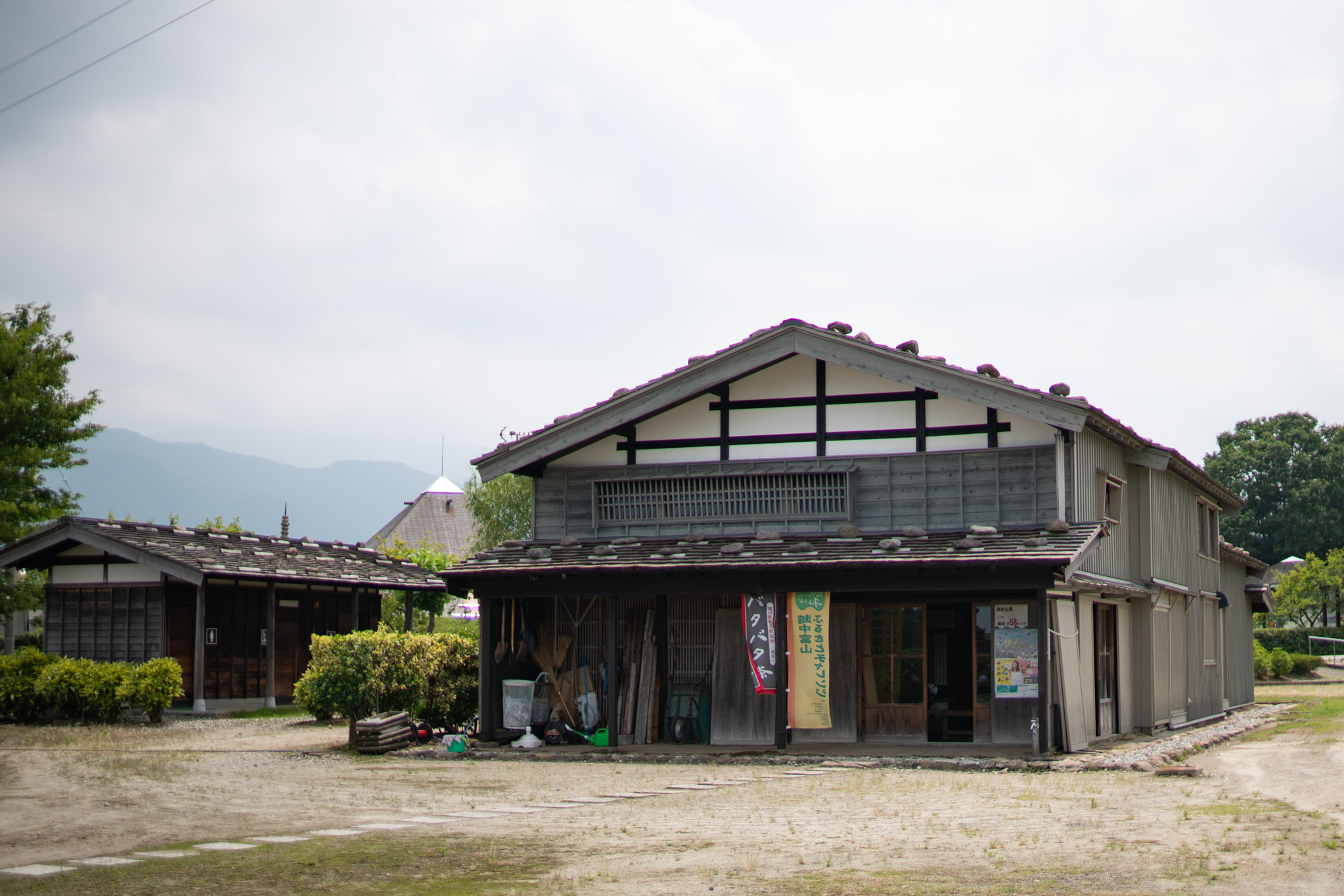 f:id:Paradisia:20190702174423j:plain