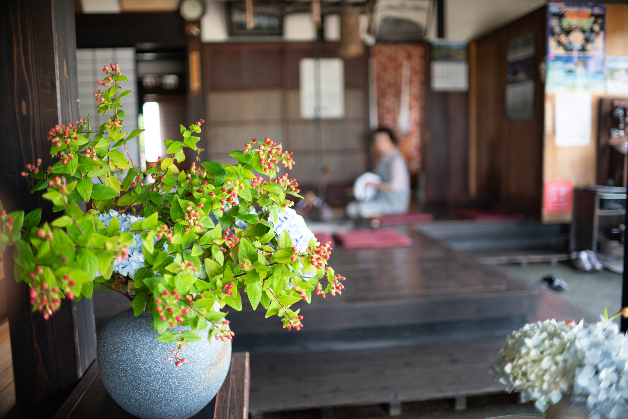 f:id:Paradisia:20190702174449j:plain f:id:Paradisia:20190702174449j:plain