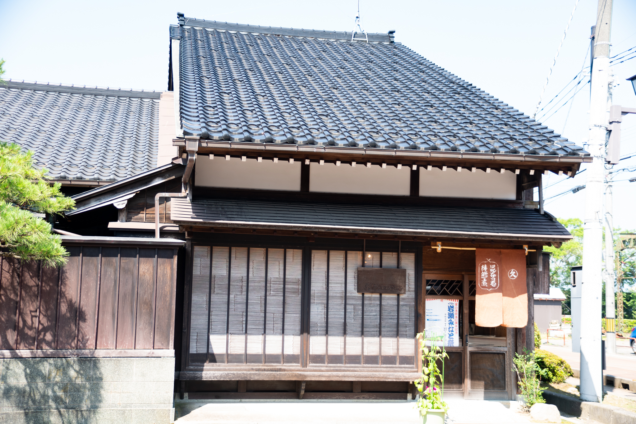 f:id:Paradisia:20190711110345j:plain