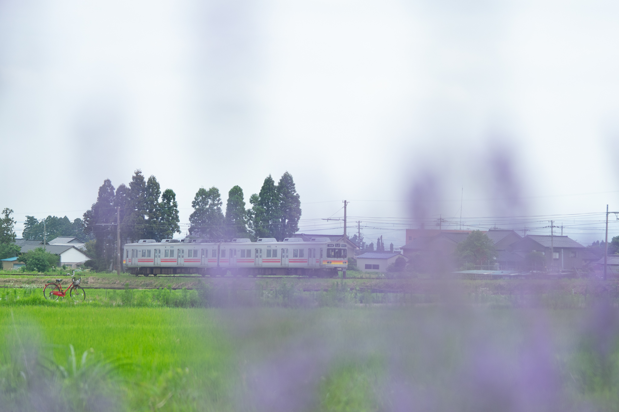 f:id:Paradisia:20190714081646j:plain