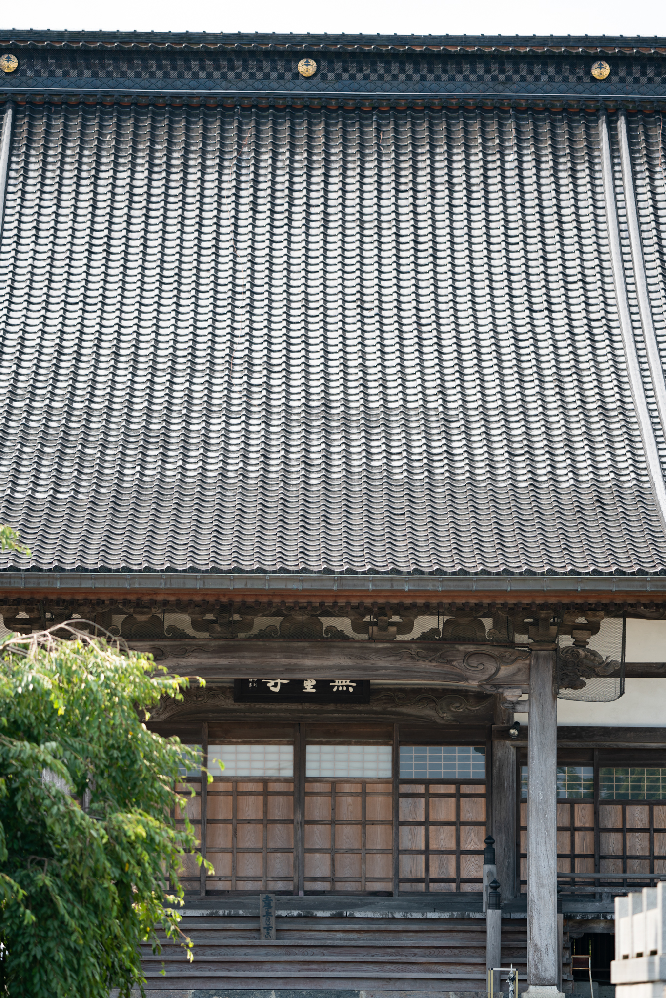 f:id:Paradisia:20190726101204j:plain
