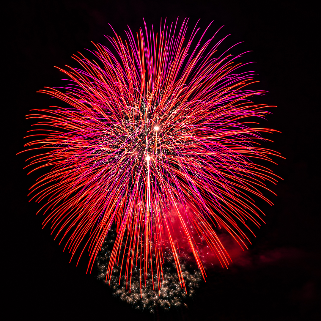 f:id:Paradisia:20190729134205j:plain