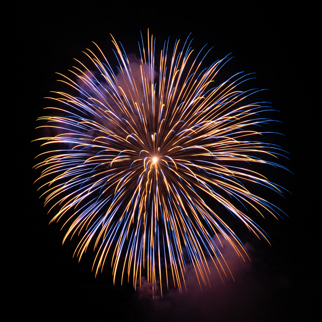f:id:Paradisia:20190729134814j:plain