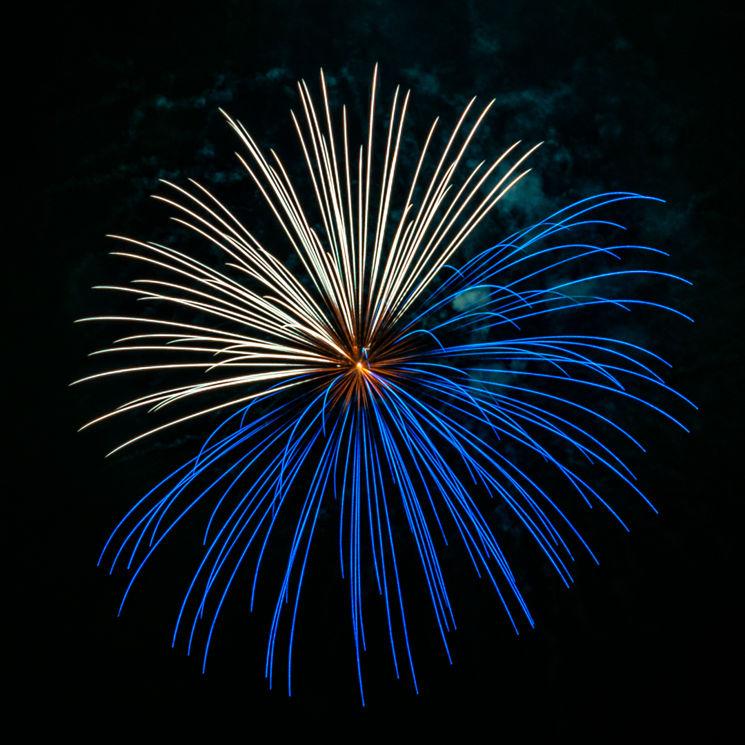 f:id:Paradisia:20190729135751j:plain