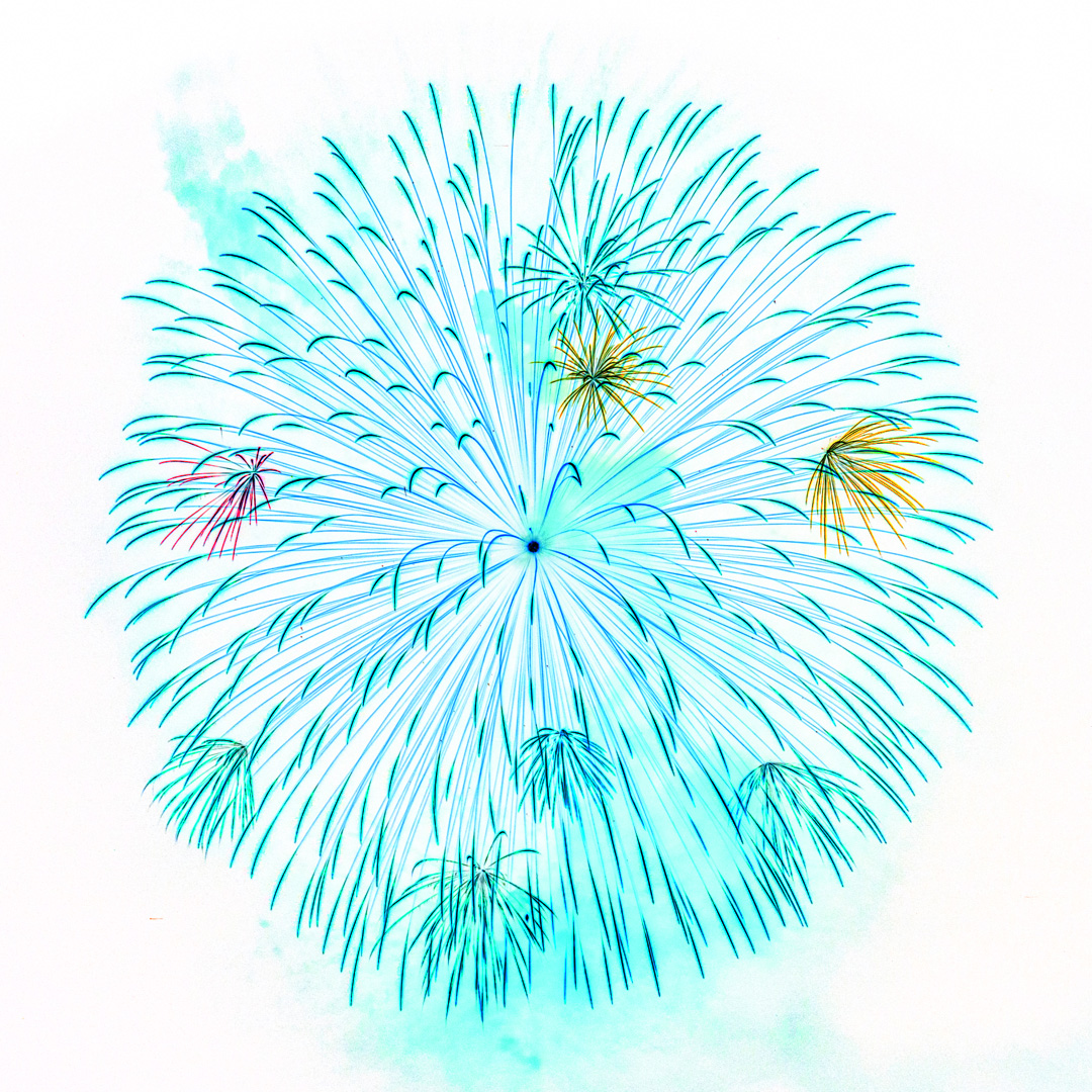 f:id:Paradisia:20190729204411j:plain