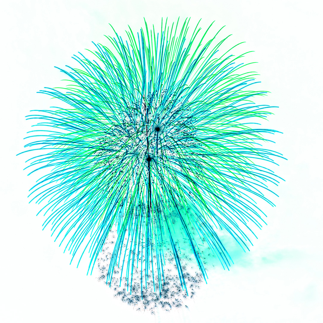 f:id:Paradisia:20190729204511j:plain