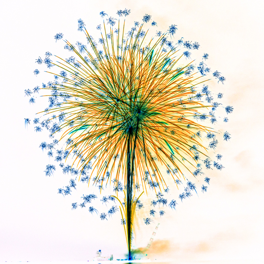 f:id:Paradisia:20190729204528j:plain