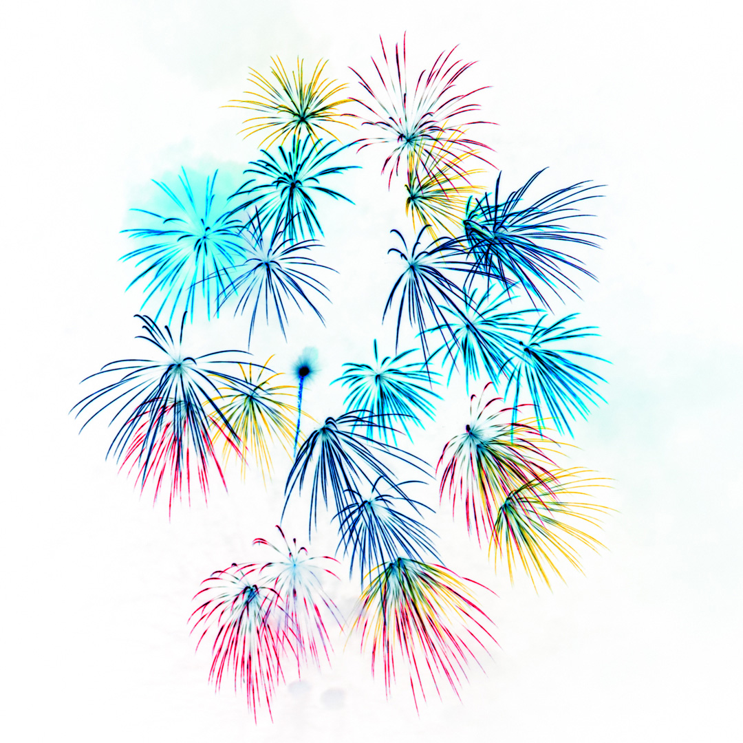 f:id:Paradisia:20190729204559j:plain