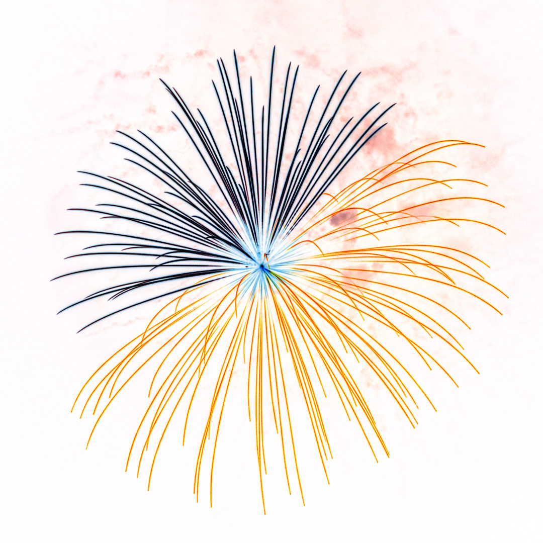 f:id:Paradisia:20190729204703j:plain