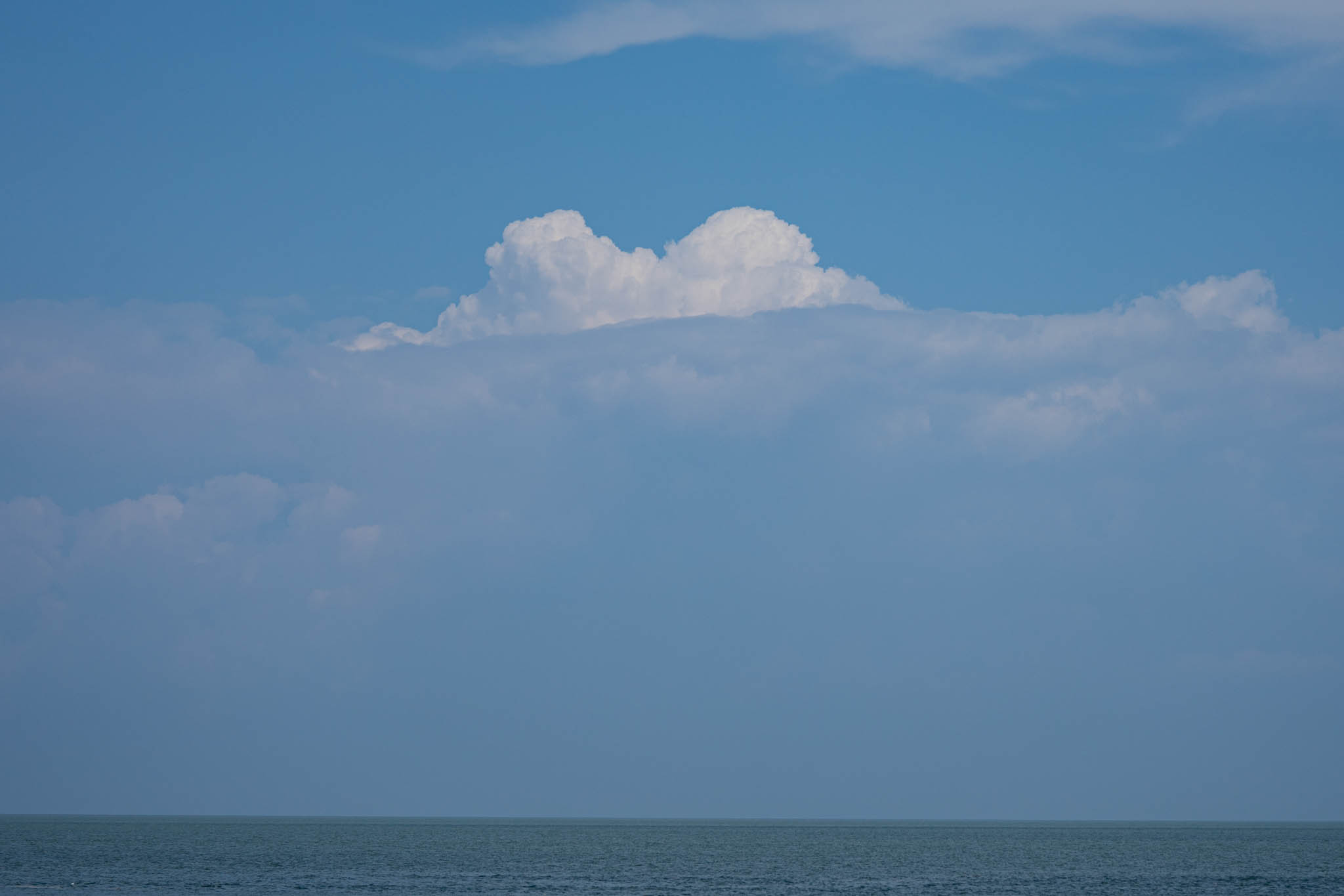 f:id:Paradisia:20190824173914j:plain