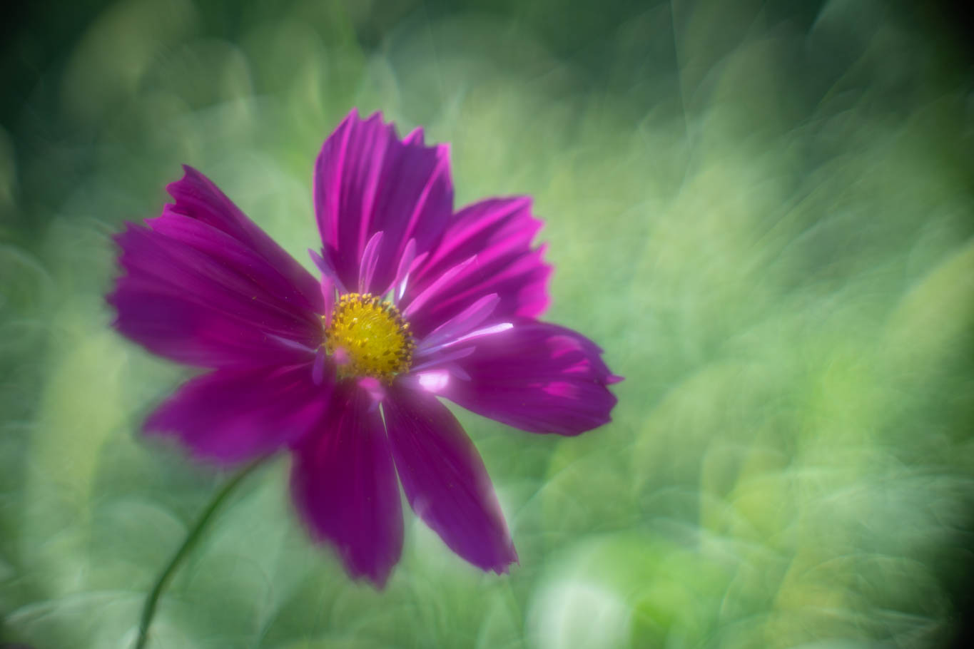 f:id:Paradisia:20190825145541j:plain