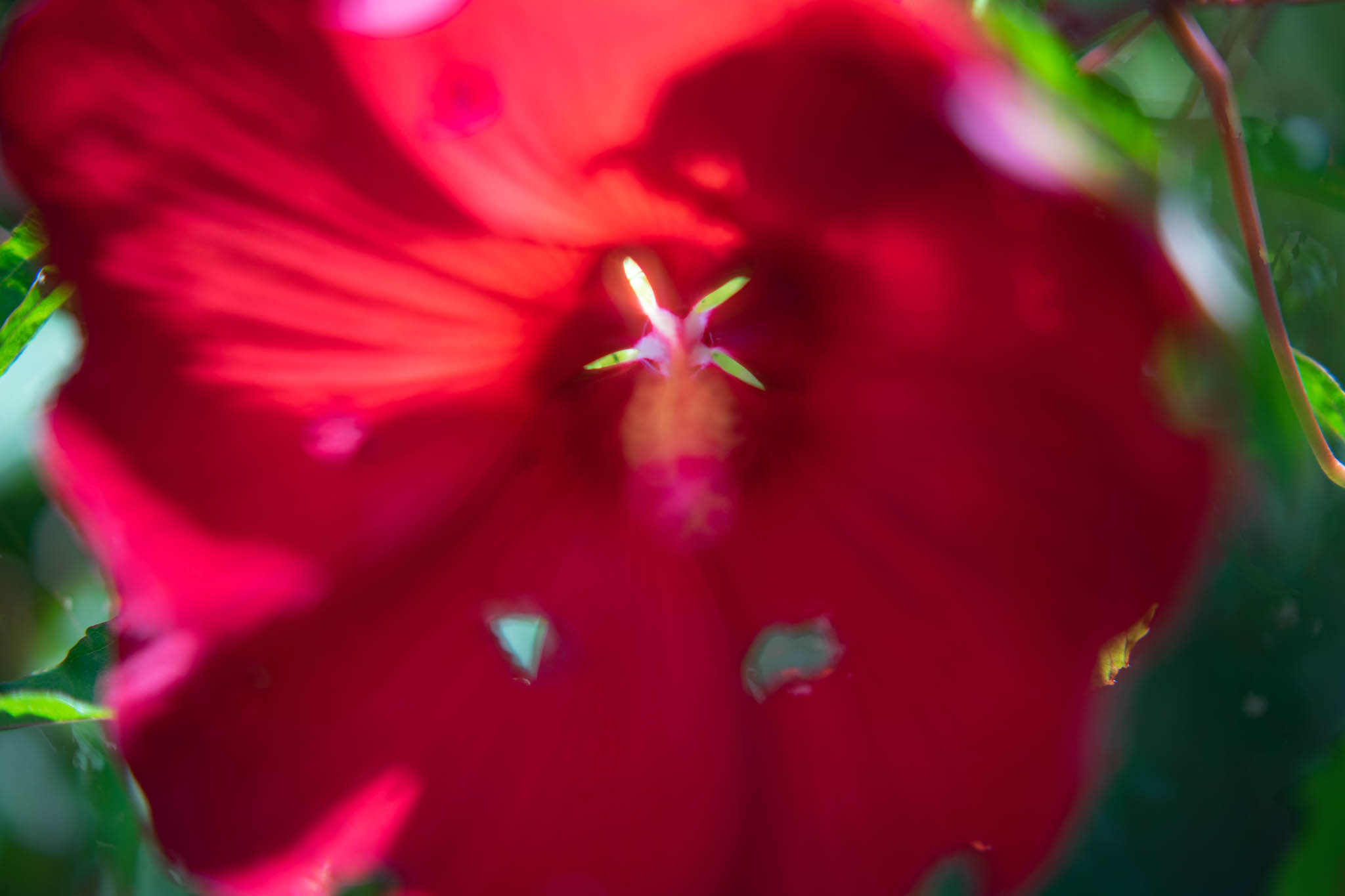 f:id:Paradisia:20190907174502j:plain f:id:Paradisia:20190907174502j:plain