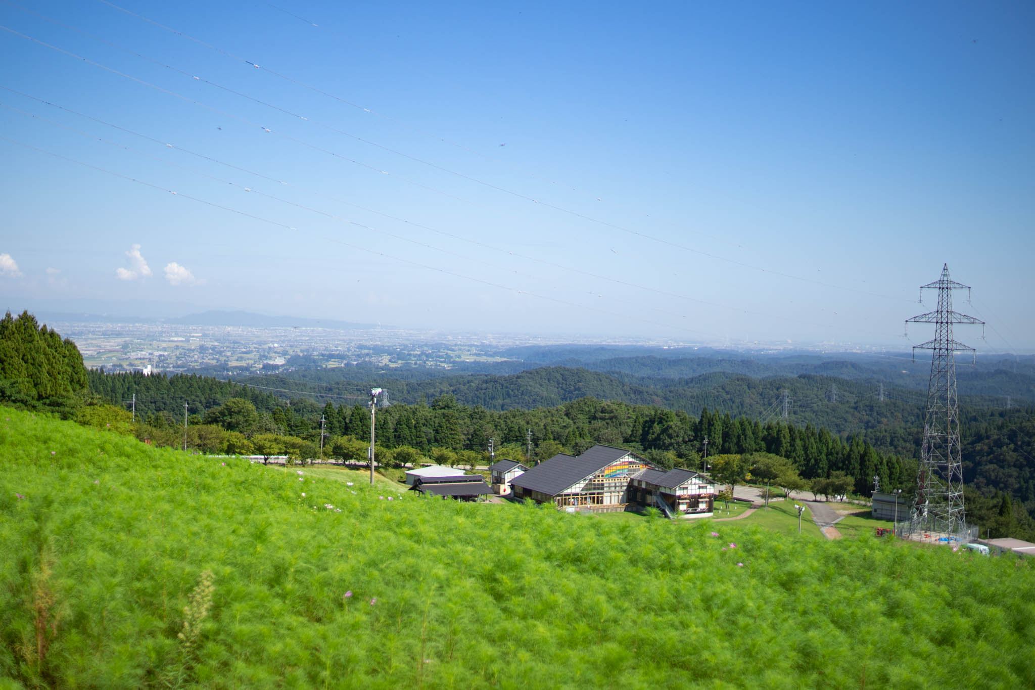 f:id:Paradisia:20190916141057j:plain