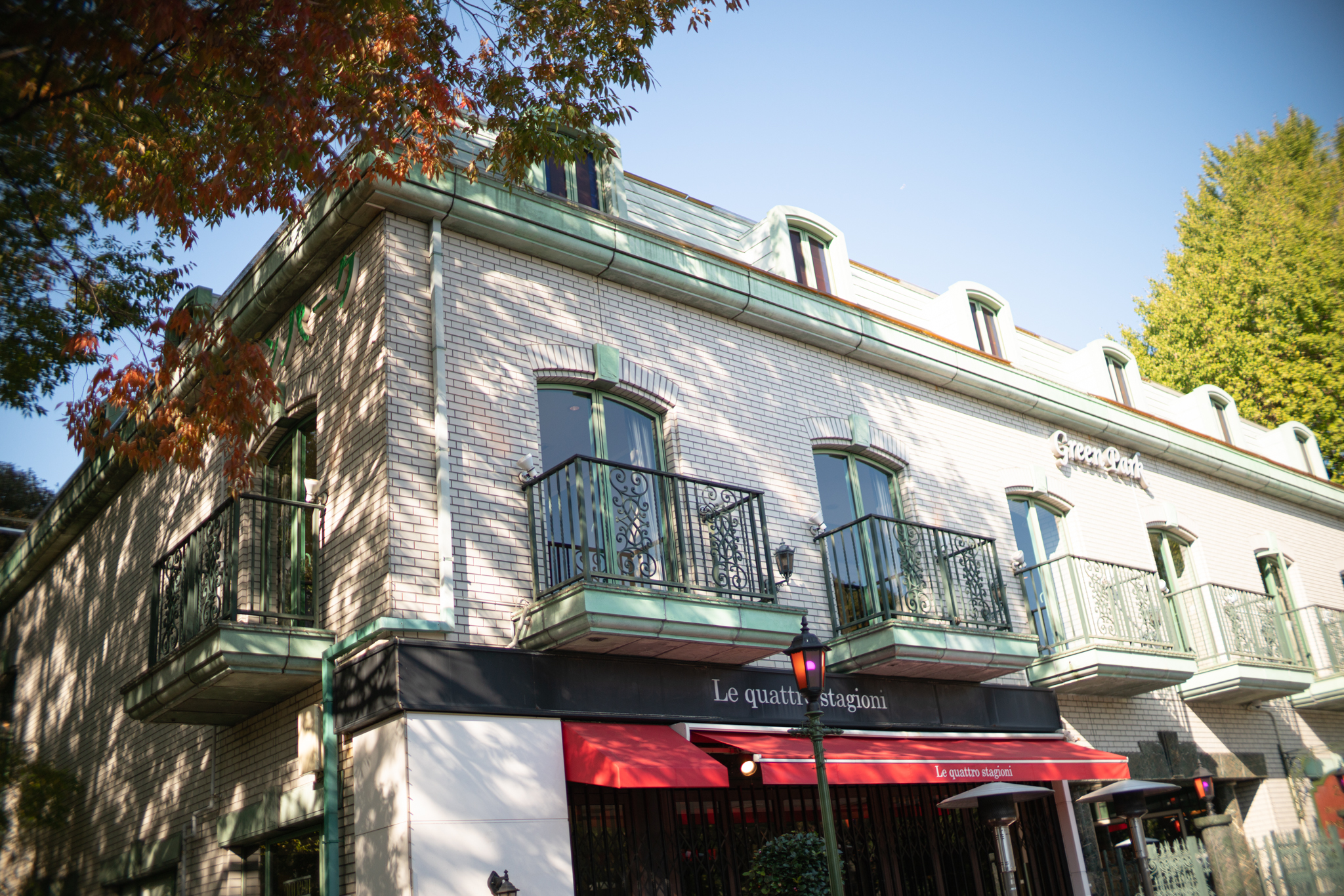 f:id:Paradisia:20191112071434j:plain f:id:Paradisia:20191112071434j:plain