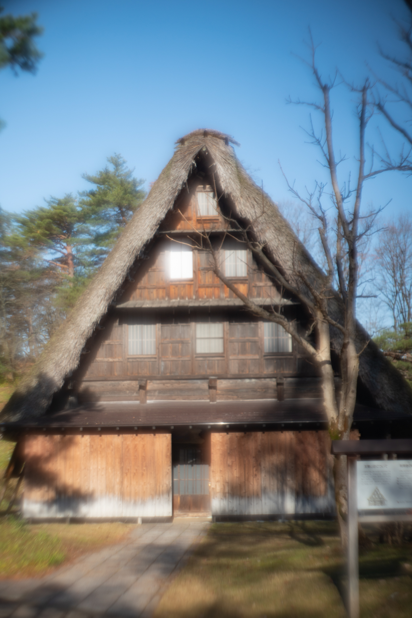 f:id:Paradisia:20191212081802j:plain