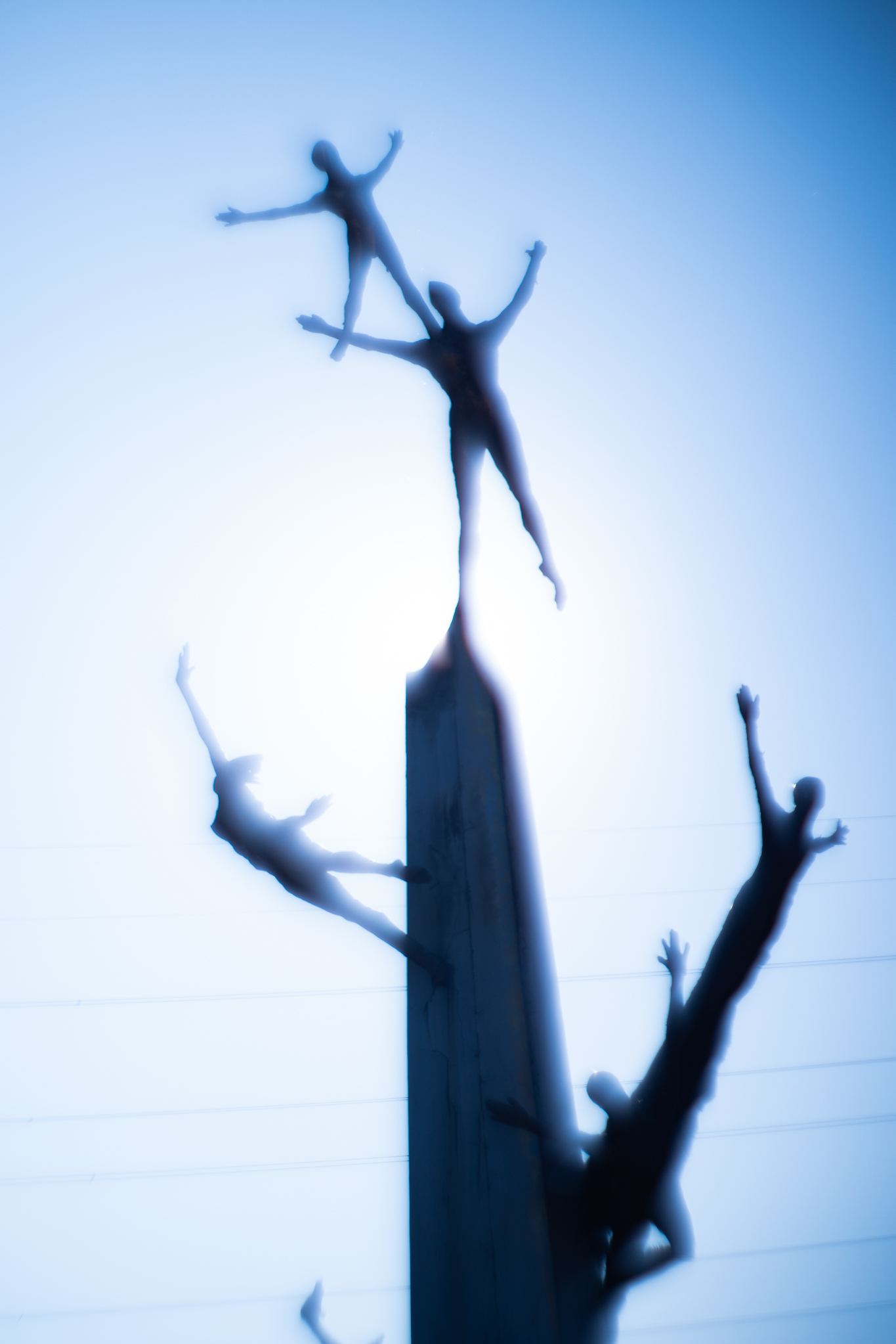 f:id:Paradisia:20191212081846j:plain