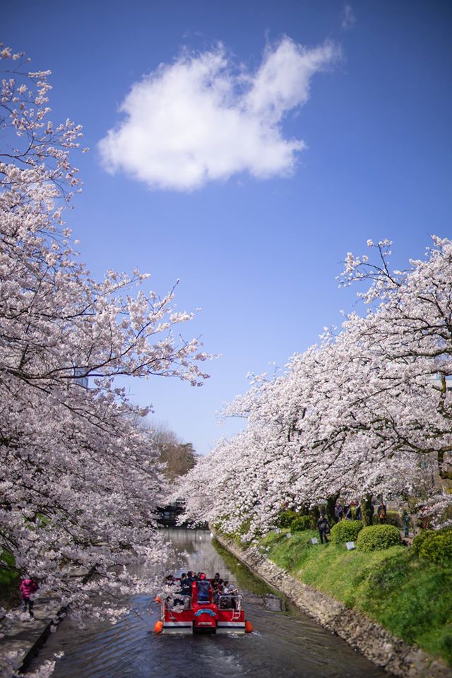 f:id:Paradisia:20191231120343j:plain