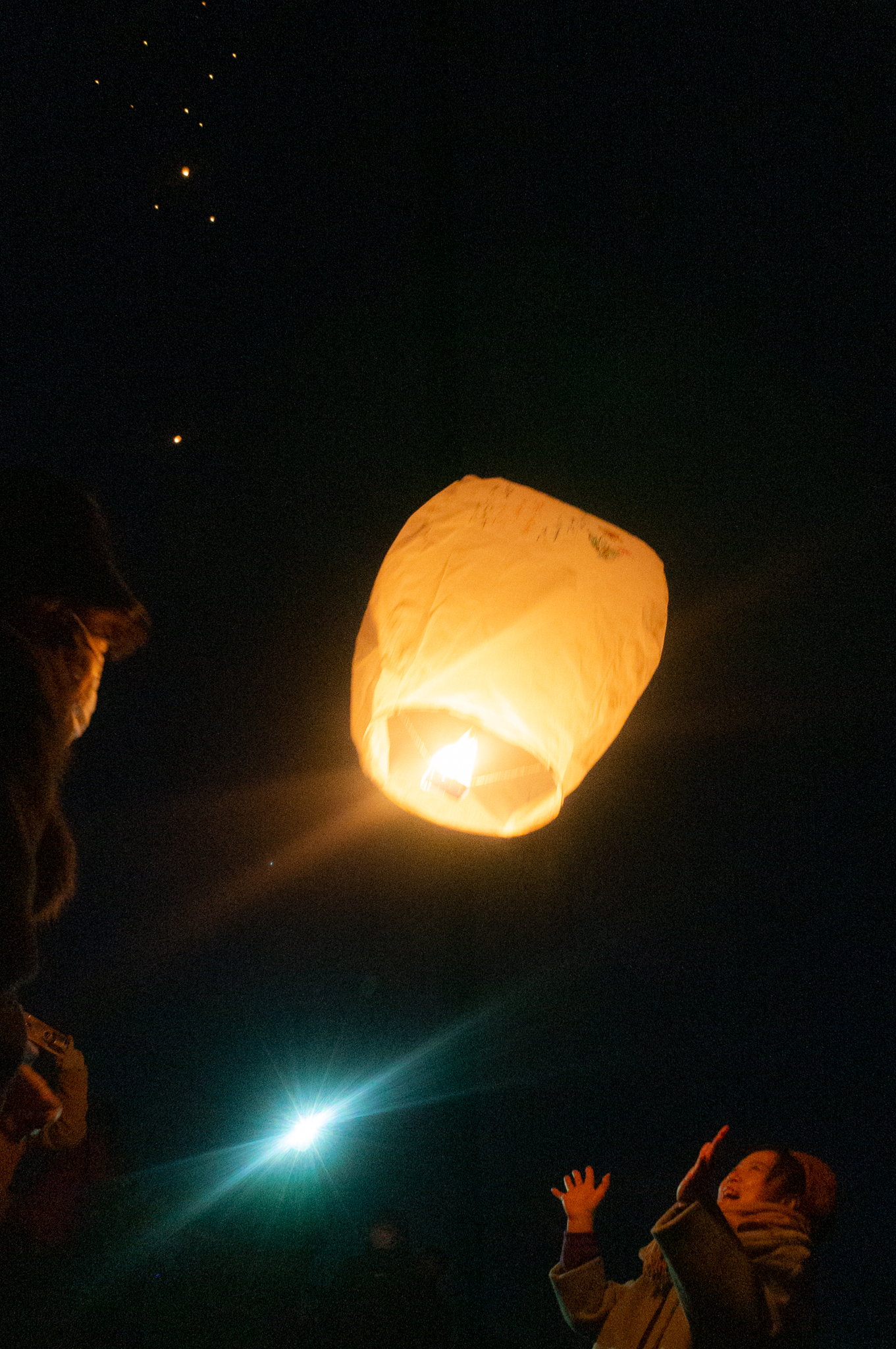 f:id:Paradisia:20200208083449j:plain f:id:Paradisia:20200208083449j:plain